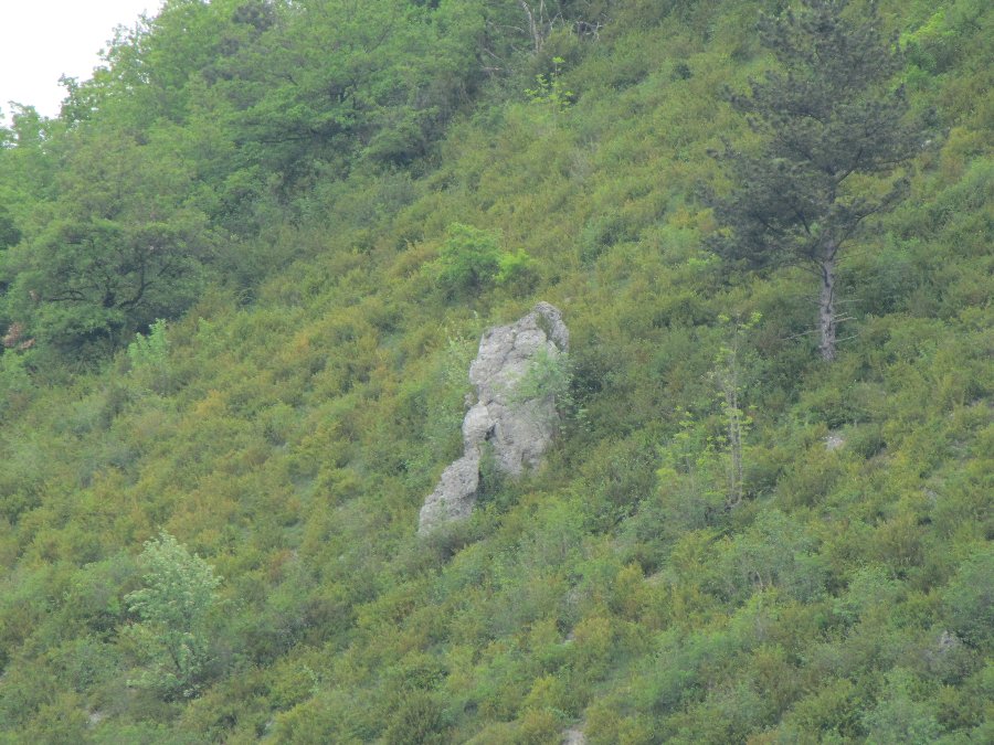 Cascade du bout du monde à Beurre - Ballade en Franche-Comté - 15/05/2010 - Environs de Besançon - Photo n14